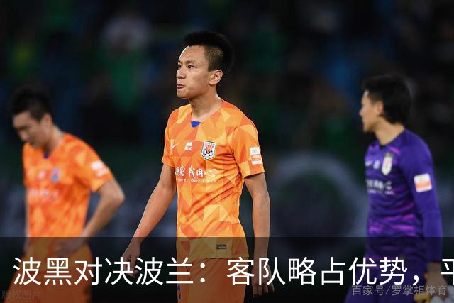 波黑对决波兰：客队略占优势，平局亦需提防